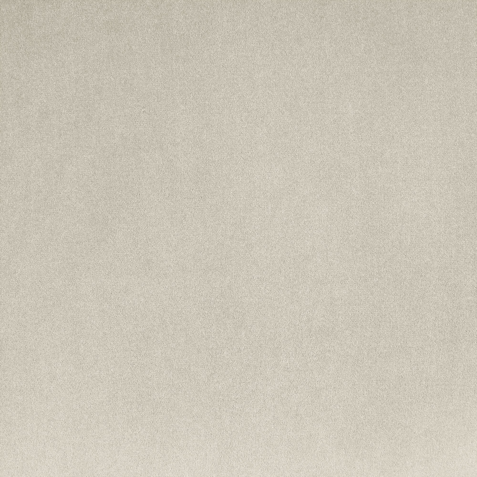 Solid light gray color swatch