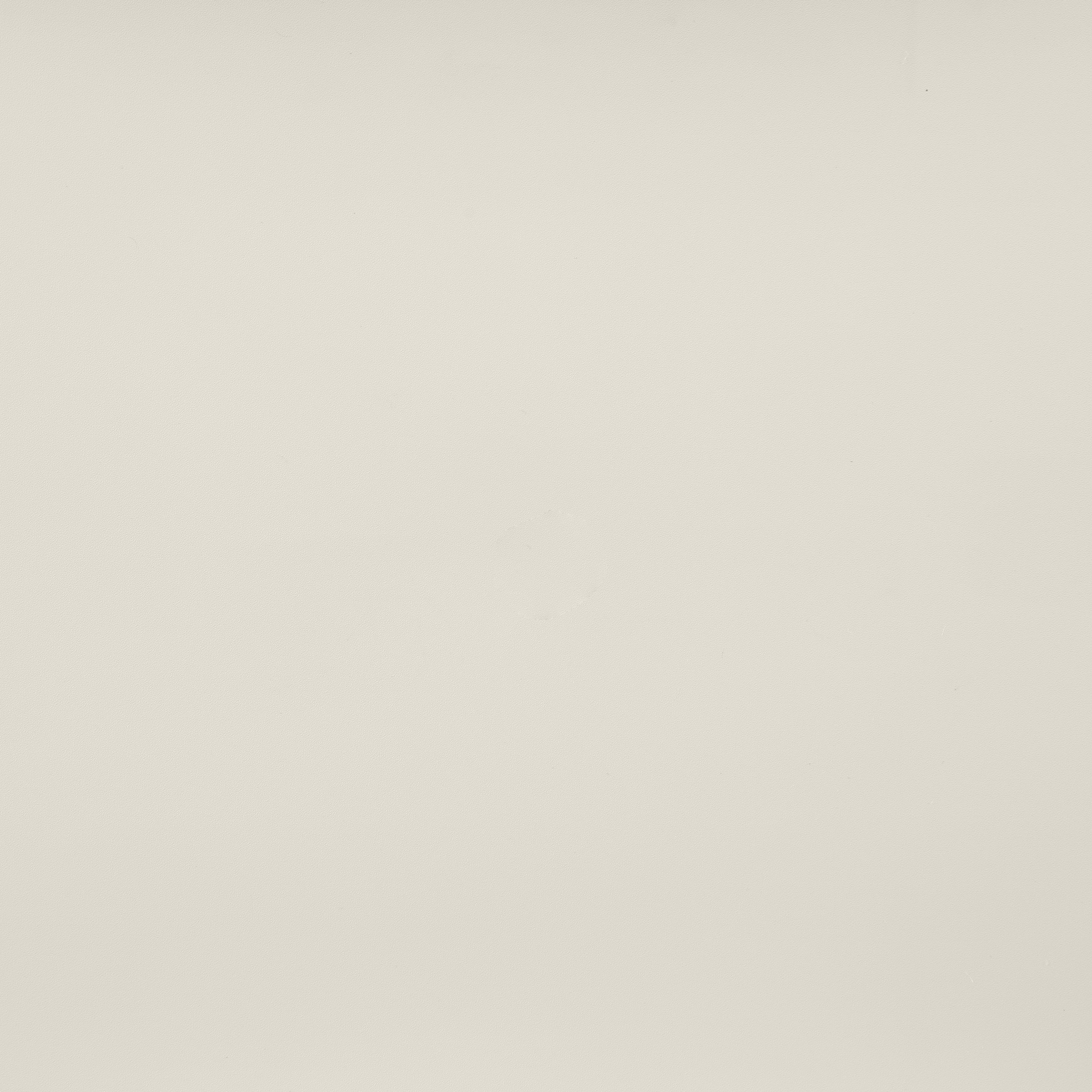 Solid light gray color swatch